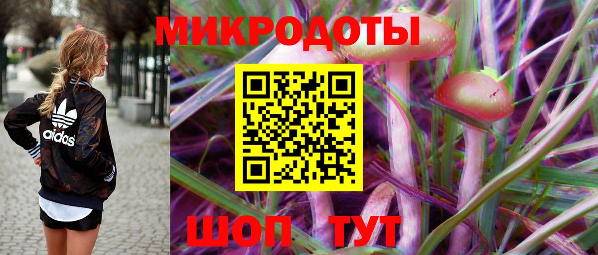 Псилоцибиновые грибы Psilocybe Новочеркасск
